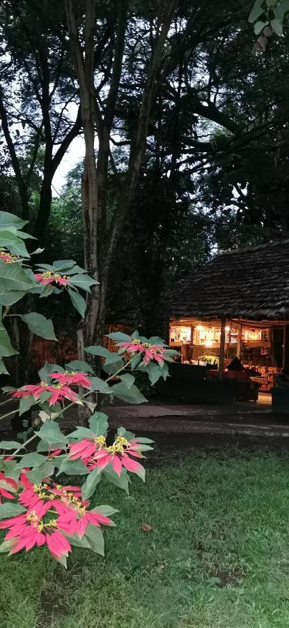 Ibrahim Garden Hostel Αρούσα Εξωτερικό φωτογραφία